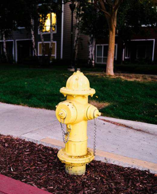 trinity-nguyen-68v0F8l_CV0-unsplash